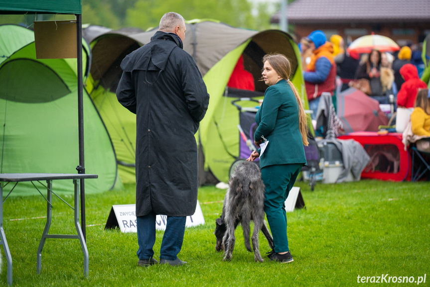 XXXIV Podkarpacka Wystawa Psów Rasowych