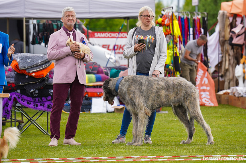 XXXV Podkarpacka Wystawa Psów Rasowych