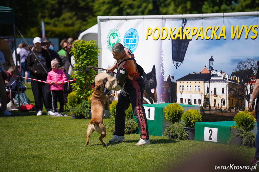  XXXVI Podkarpacka Wystawa Psów Rasowych