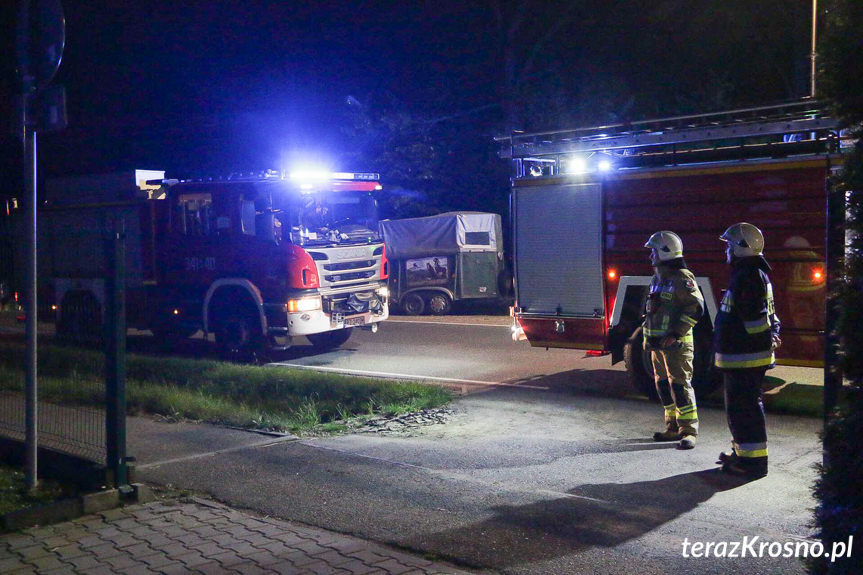 Zadymienie w budynku Szkoły w Posadzie Górnej