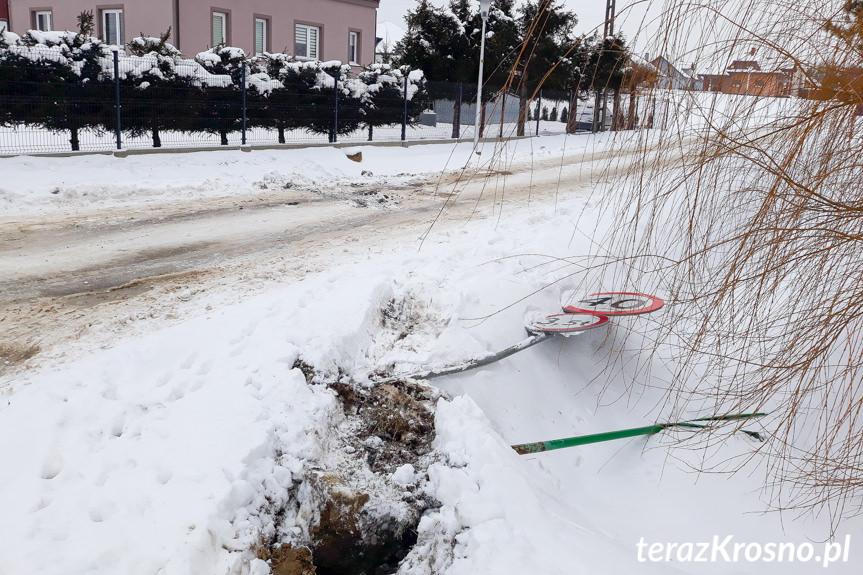 Zdarzenie w Jedliczu