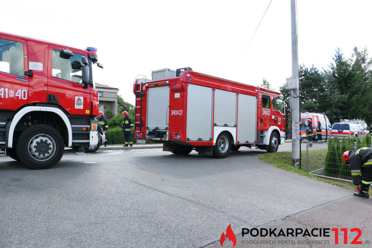 Zderzenie audi i renault w Jedliczu