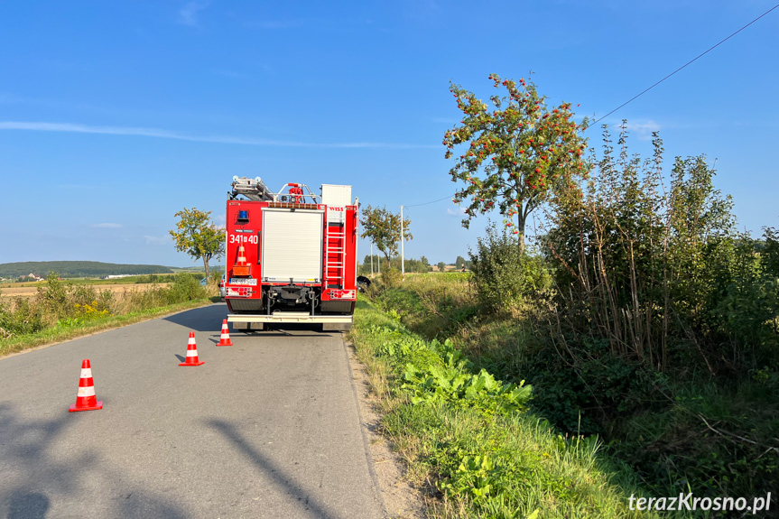 Zderzenie dwóch samochodów pomiędzy Rymanowem a Sieniawą