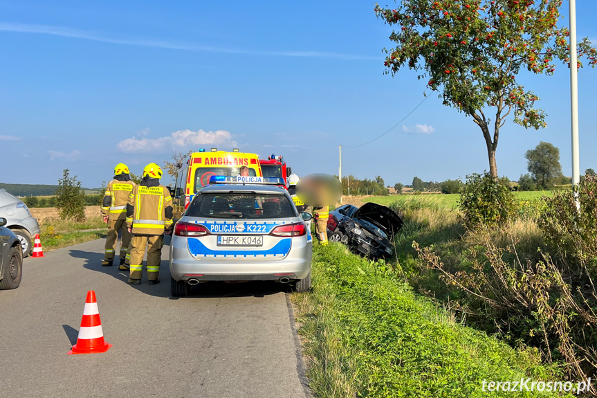 Zderzenie dwóch samochodów pomiędzy Rymanowem a Sieniawą