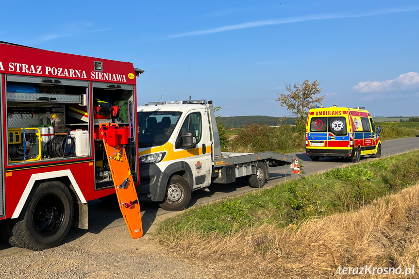 Zderzenie dwóch samochodów pomiędzy Rymanowem a Sieniawą