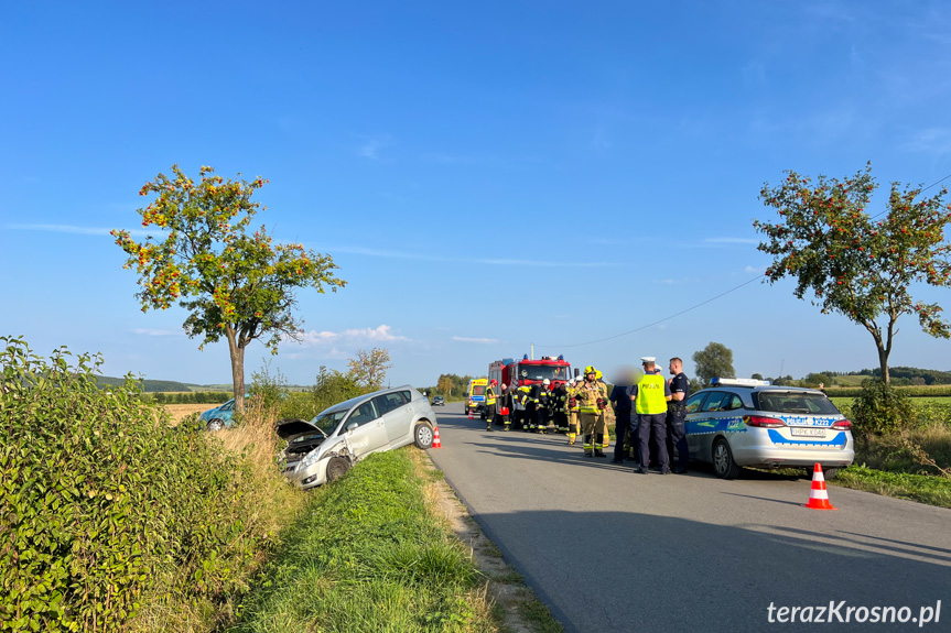 Zderzenie dwóch samochodów pomiędzy Rymanowem a Sieniawą