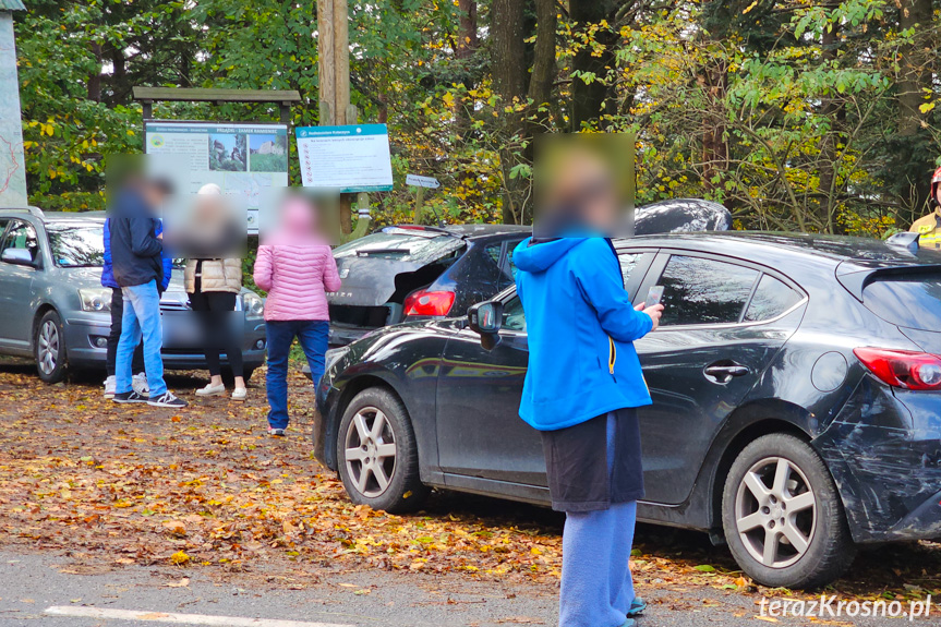 Zderzenie dwóch samochodów w Czarnorzekach