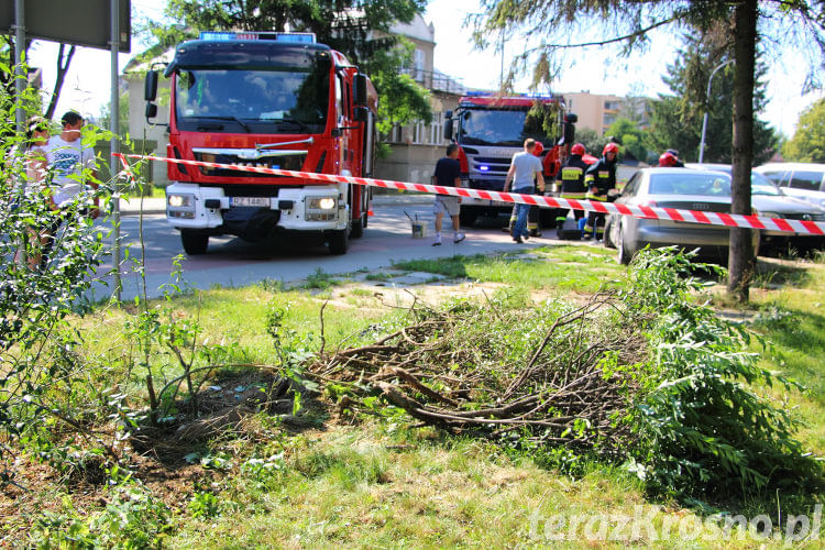 Zderzenie na skrzyżowaniu