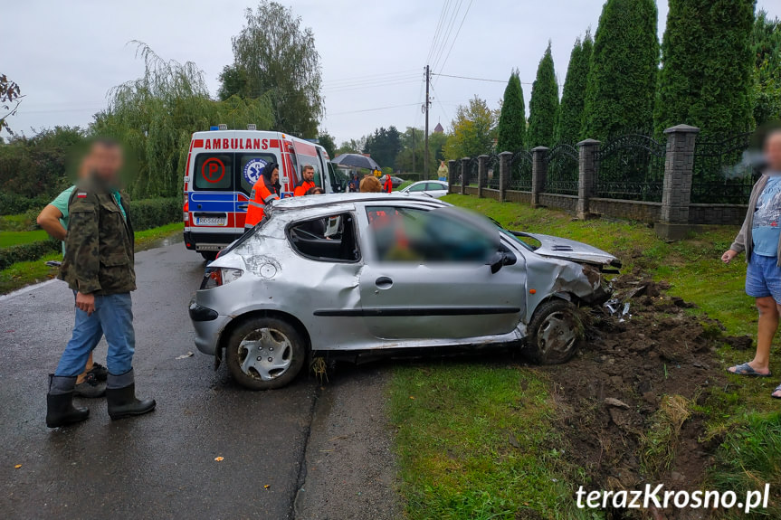 Żeglce. Samochód wjechał do rowu