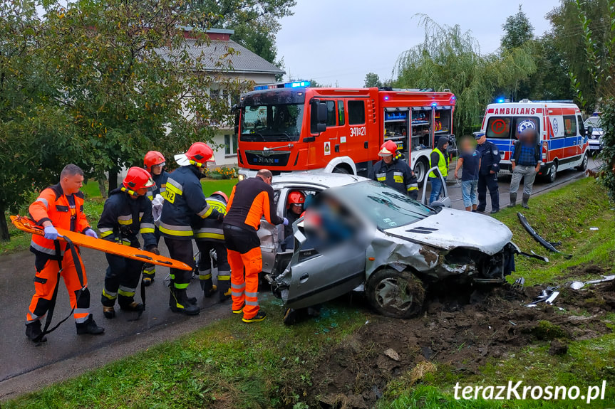 Żeglce. Samochód wjechał do rowu