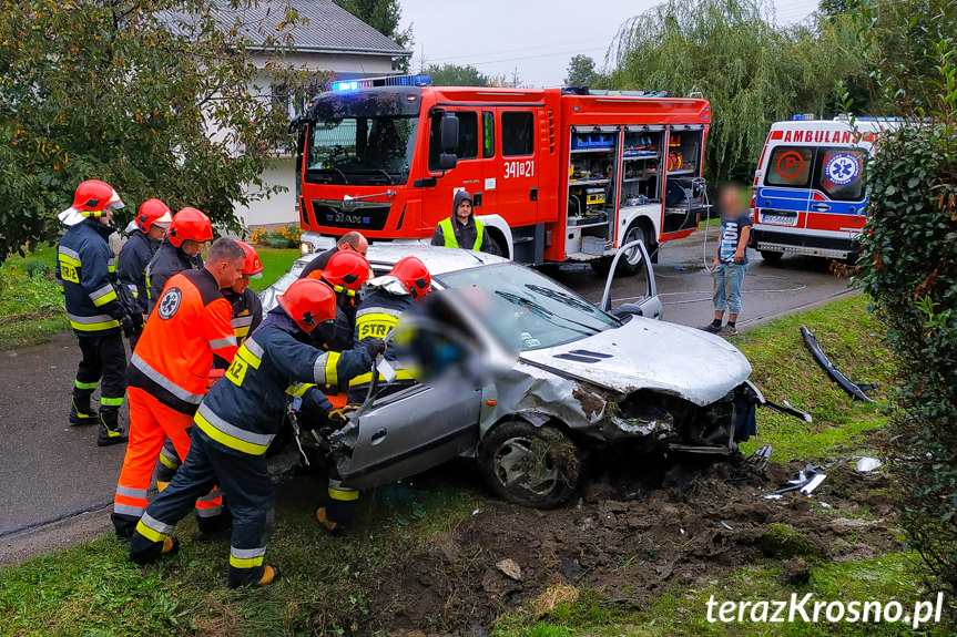 Żeglce. Samochód wjechał do rowu