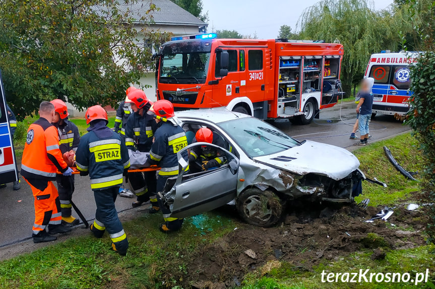 Żeglce. Samochód wjechał do rowu