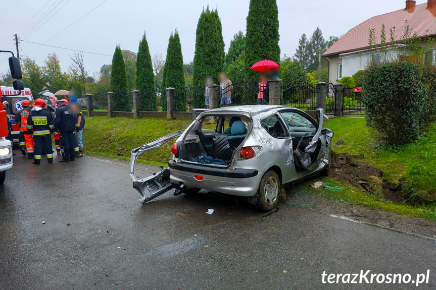 Żeglce. Samochód wjechał do rowu