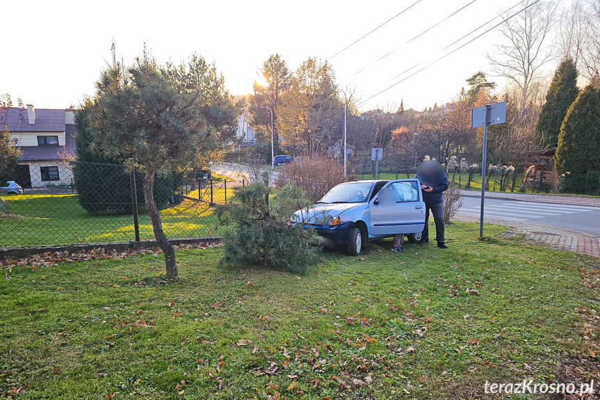 Zjechała z drogi i uderzyła w drzewo