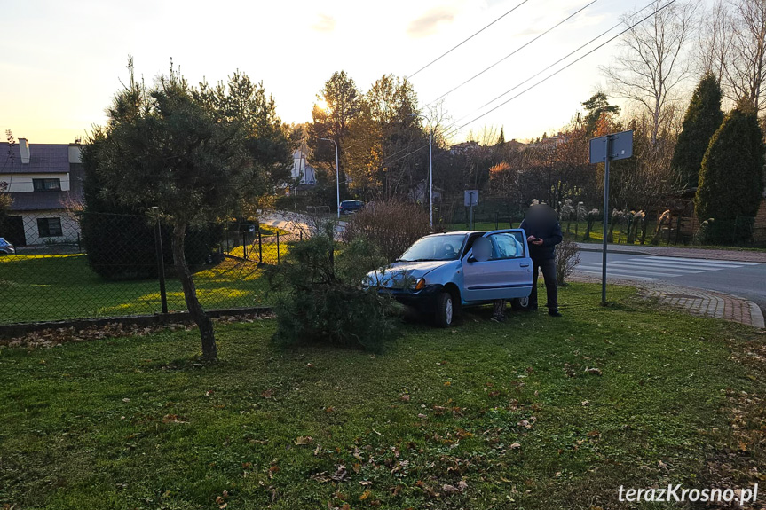 Zjechała z drogi i uderzyła w drzewo