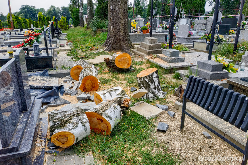 Zniszczone nagrobki na cmentarzu w Jedliczu