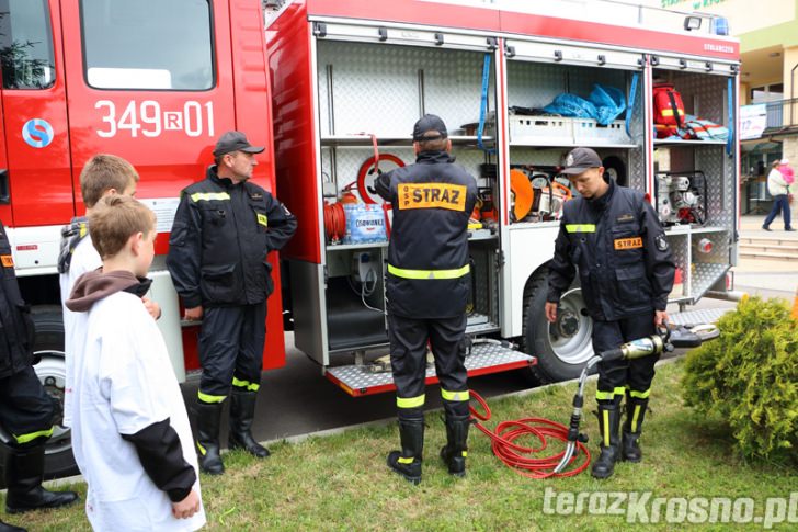 Dni Rodzicielstwa Zastępczego, piknik Rodzina-Rodzinie