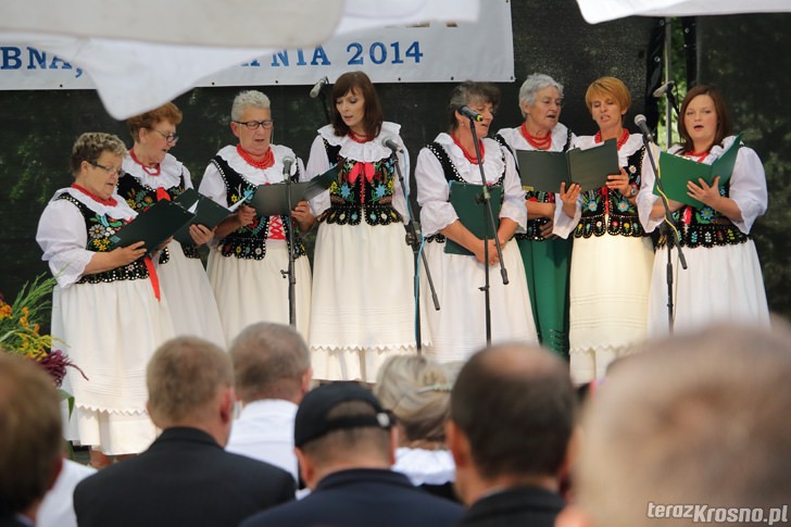 Dożynki Gminne w Ustrobnej 2014