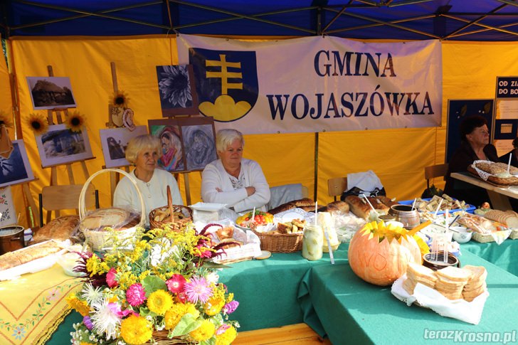 Dożynki Gminne w Ustrobnej 2014