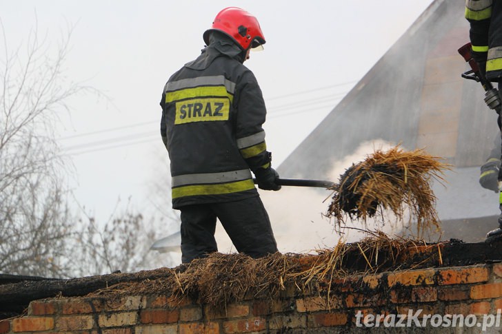 Pożar budynku gospodarczego w Teodorówce