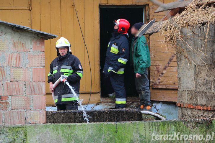 Pożar budynku gospodarczego w Teodorówce