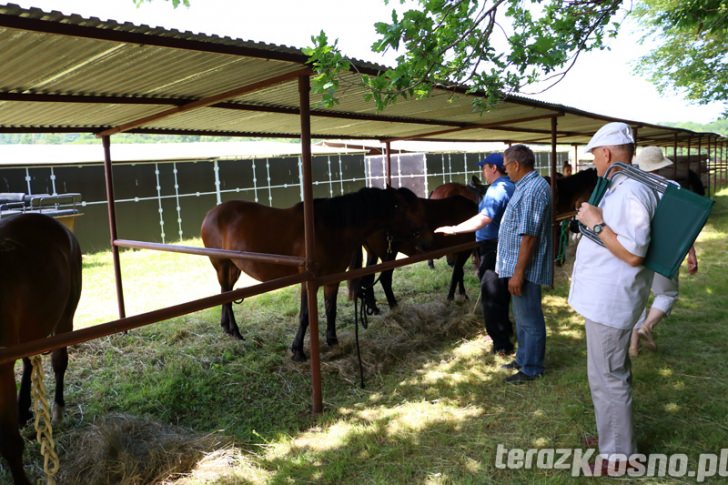 Powitanie Lata w Rudawce Rymanowskiej