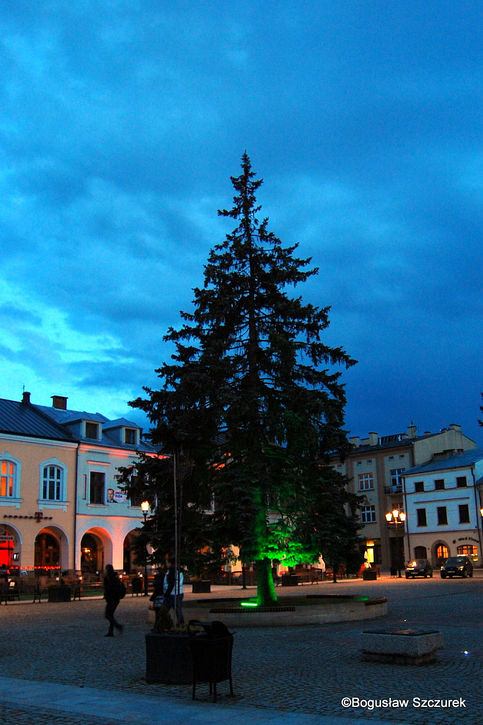 Chickenbusem przez Amerykę Centralną