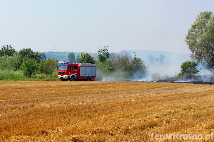 Pożar ścierniska w Świerzowej Polskiej