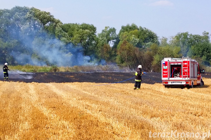 Pożar ścierniska w Świerzowej Polskiej