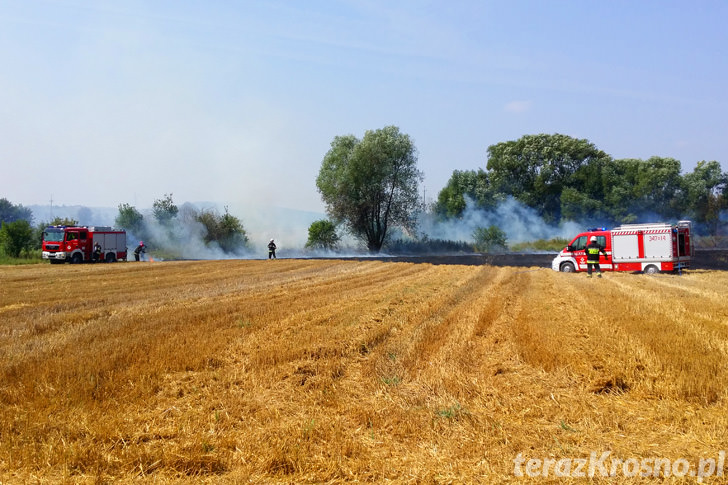 Pożar ścierniska w Świerzowej Polskiej