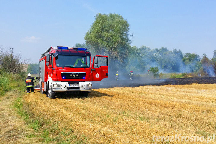 Pożar ścierniska w Świerzowej Polskiej