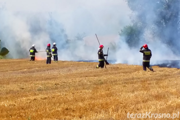 Pożar ścierniska w Świerzowej Polskiej