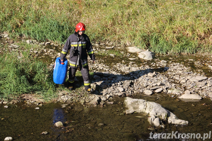 Tir wpadł do rzeki Jasiołka w Cergowej