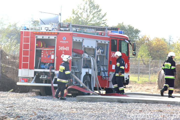 Pożar w Zręcinie w zakładzie produkującym brykiet